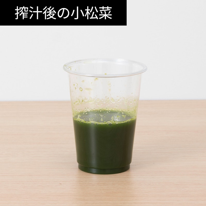 スロージューサー 12