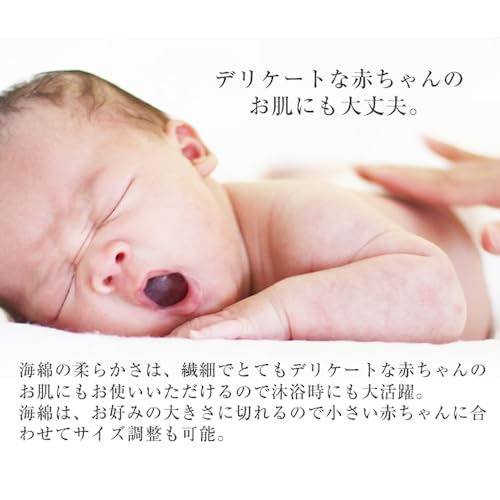 海綿 ジップロック袋付き 5