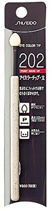 アイカラーチップ・太202 2