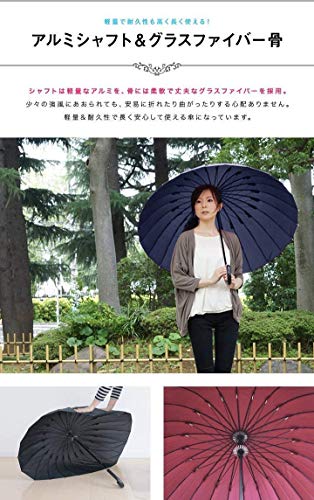 24本骨傘 3