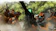 東京メトロポリタンテレビジョン アルドノア・ゼロ 1