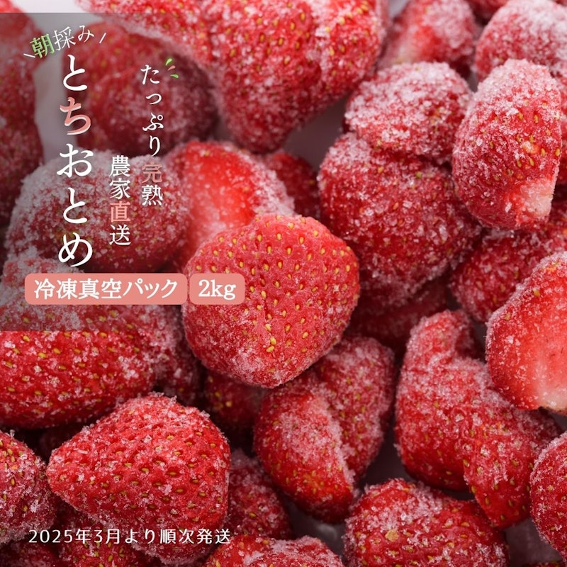 冷凍いちご とちおとめ 1