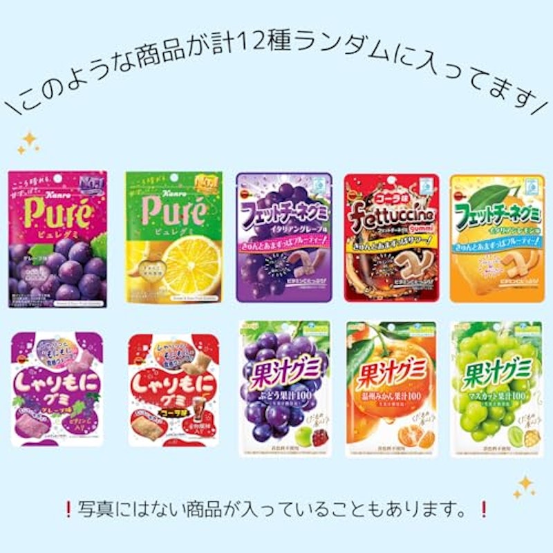 グミ 詰め合わせ ランダム 12種セット 3