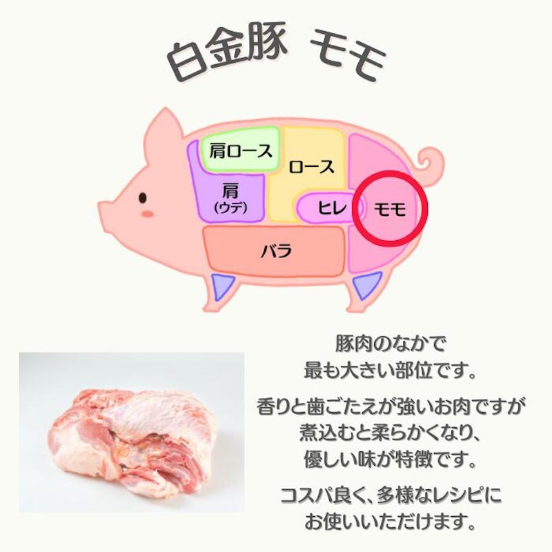 白金豚 モモ ブロック 2