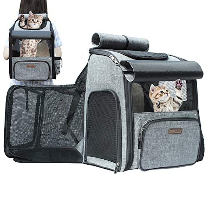 22年 猫キャリーリュックのおすすめ人気ランキング7選 Mybest 22年 猫キャリーリュックのおすすめ人気ランキング7選 Mybest