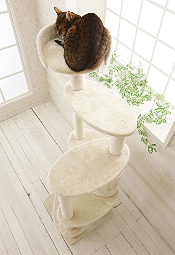 キャットシッターが教える キャットタワーのおすすめ人気ランキング選 Mybest