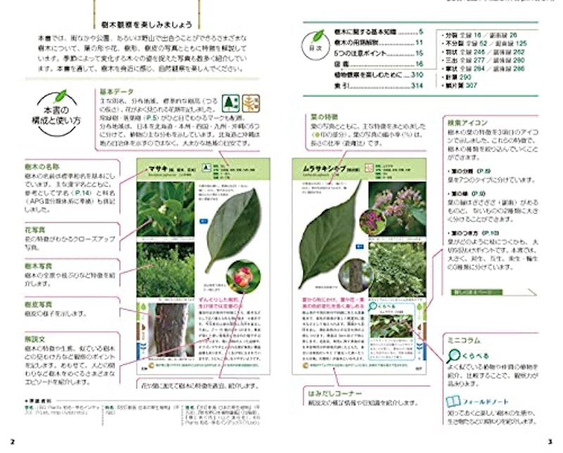 自然散策が楽しくなる! 葉っぱ花樹皮で見わける 2