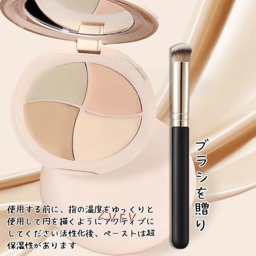 プロコンシーラーパレット 2