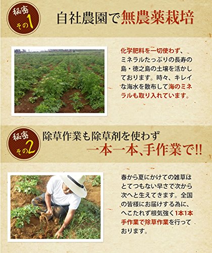 長命草 2