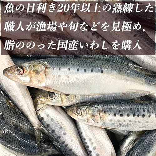 いわし明太子 6