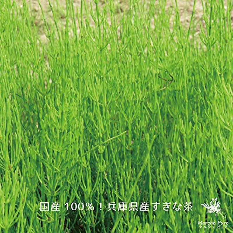国産 すぎな茶 4