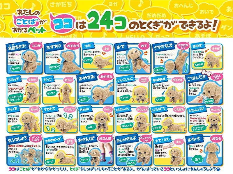 ココさかだちして 2