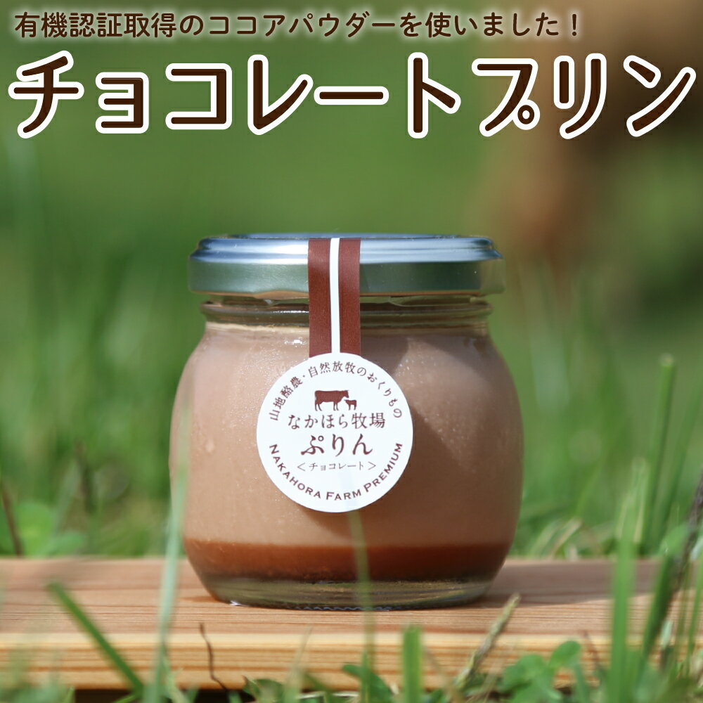 チョコレートプリン 1
