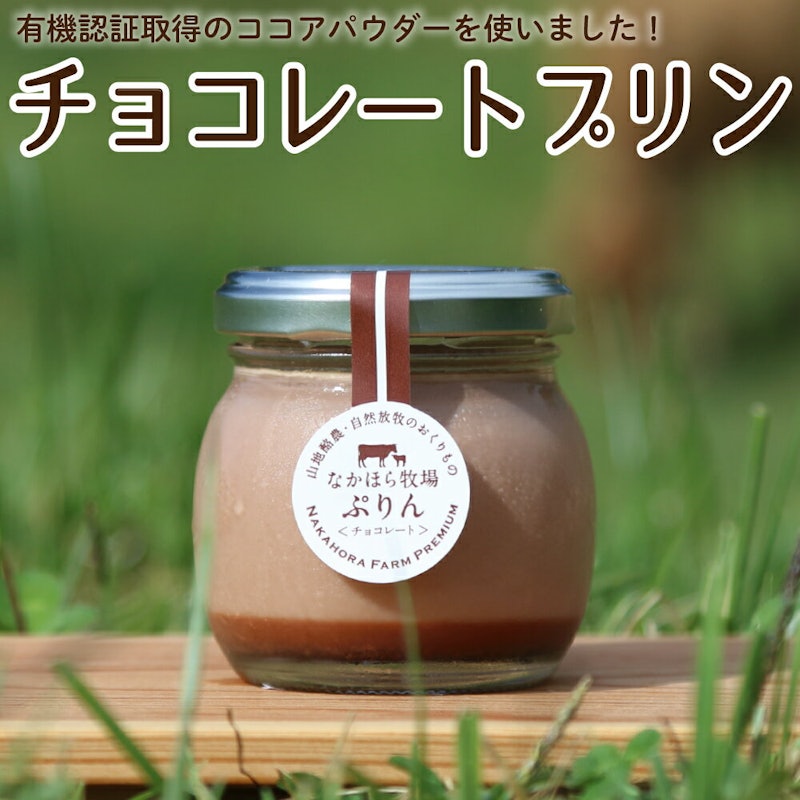 チョコレートプリン 1