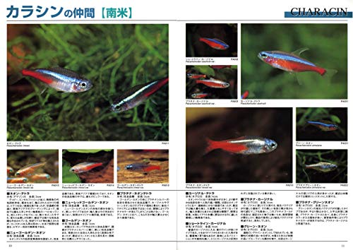 22年 熱帯魚図鑑のおすすめ人気ランキング10選 Mybest