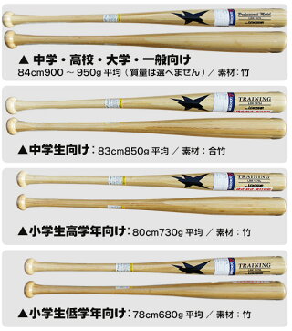 トレーニングバット 2