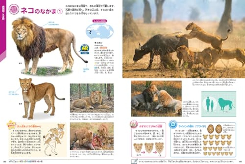 動物 新版 2