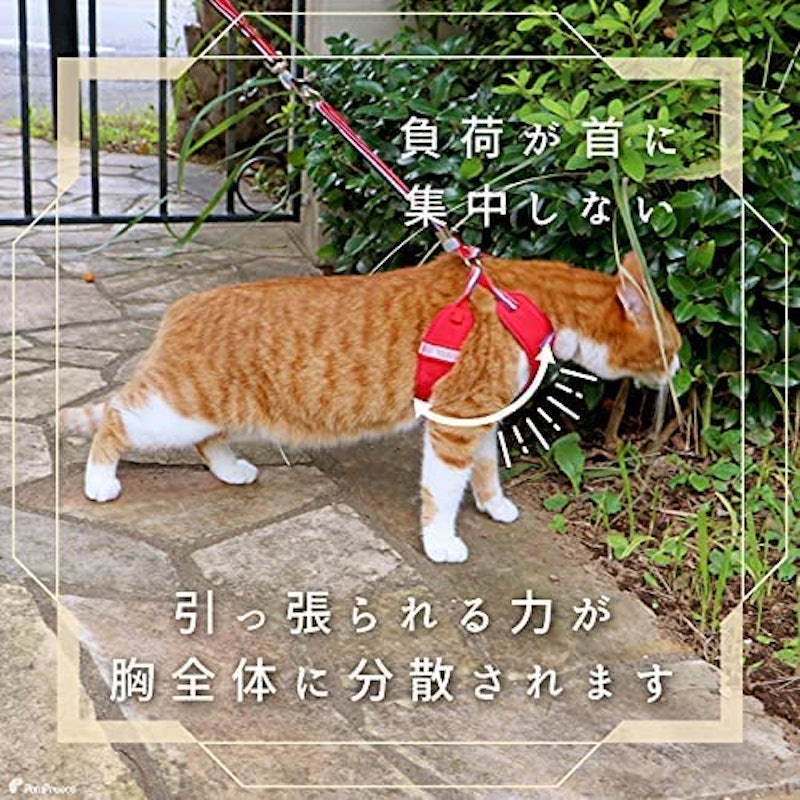 ハーネス リード セット 2
