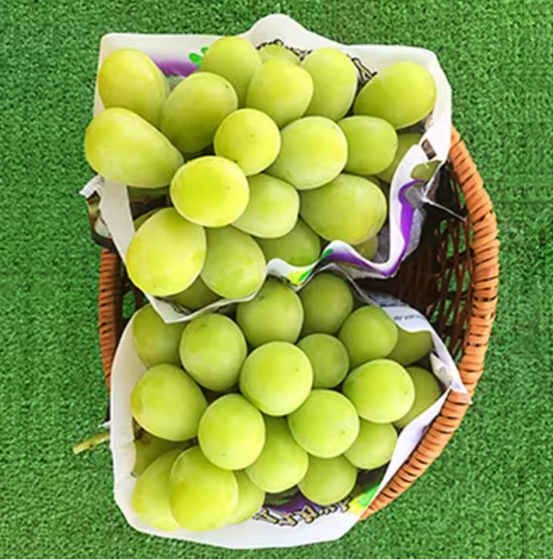 シャインマスカット 2房 4