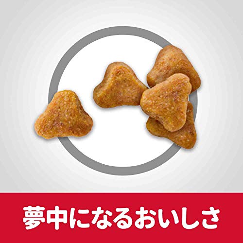 サイエンス ダイエット プロ 健康ガード 便通・毛玉 2
