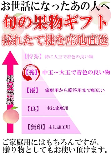福島県産 伊達の桃 4