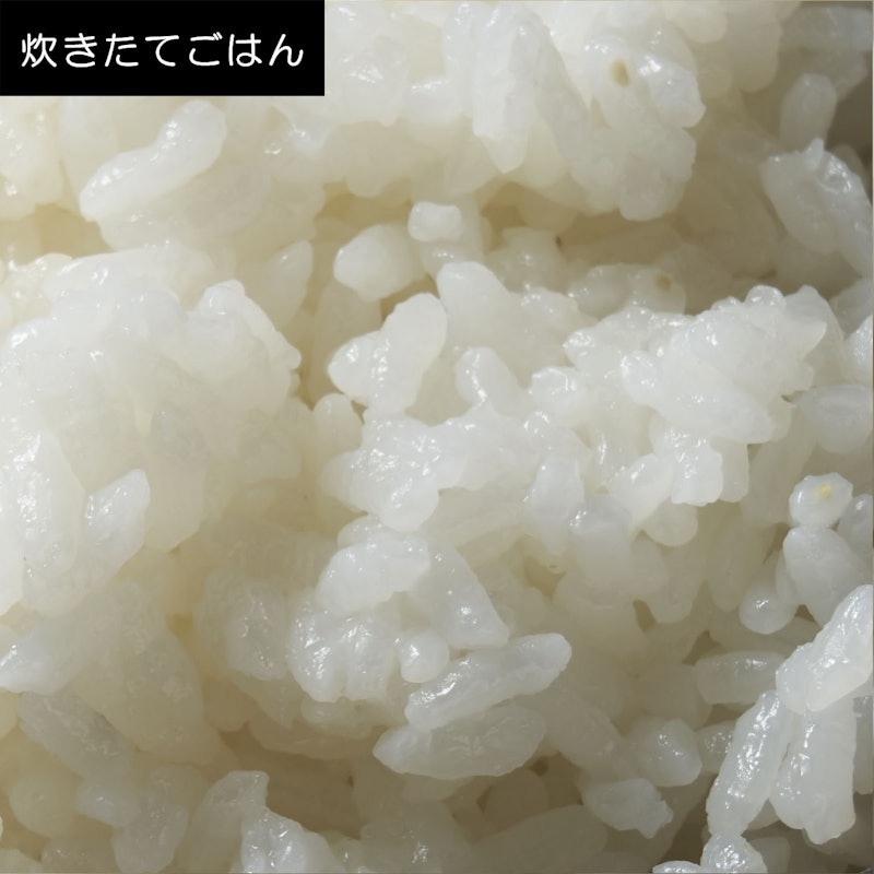 マイコン炊飯ジャー 9