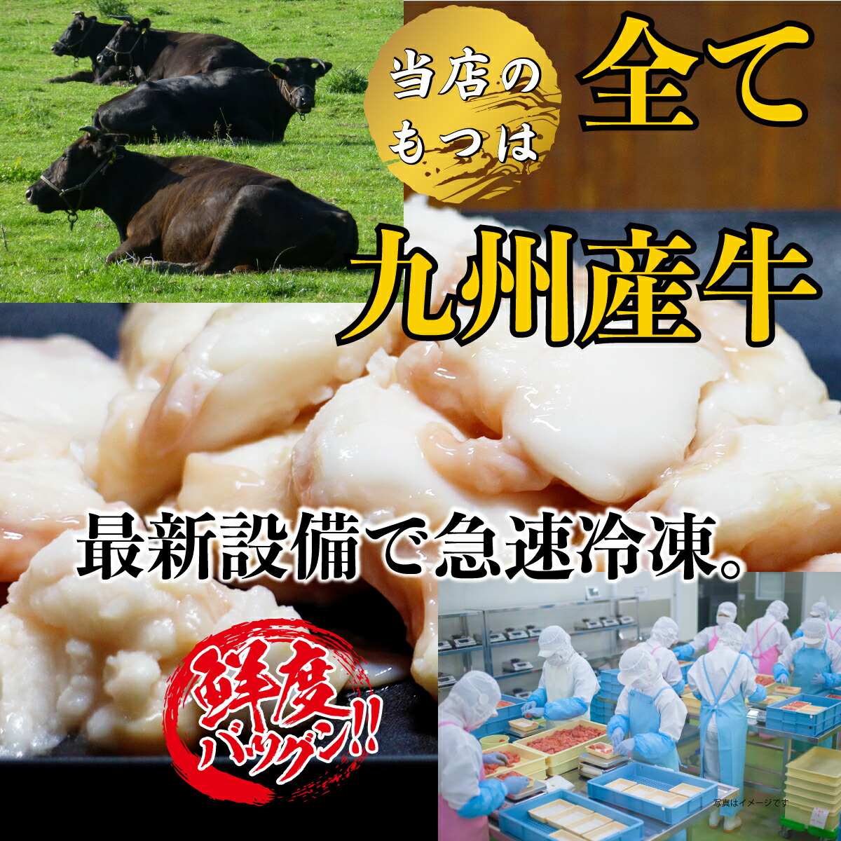 九州産 牛もつ 1kg 2