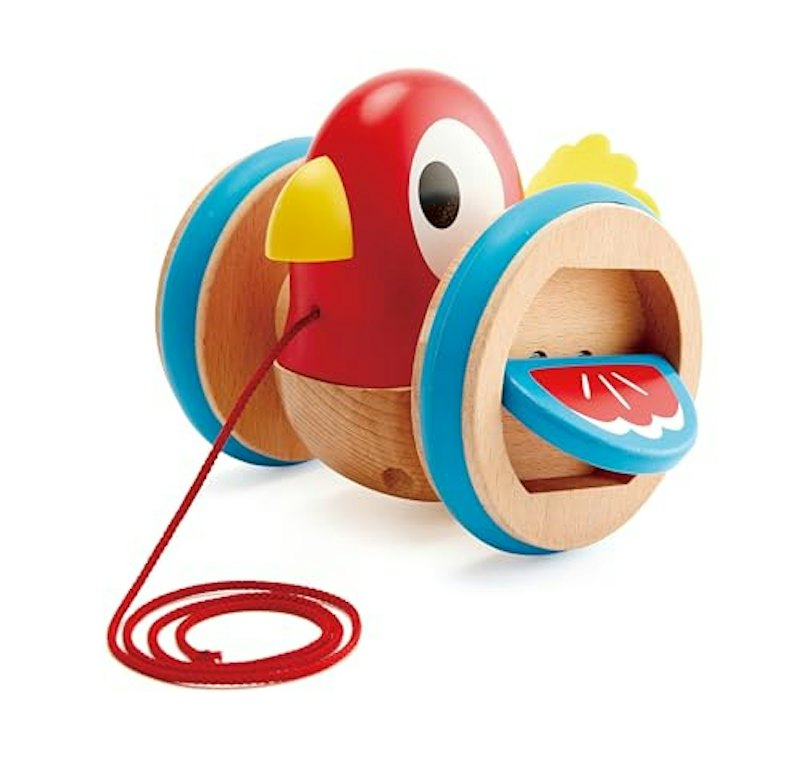 Pull along Bird 1
