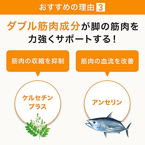 ロコモア 6