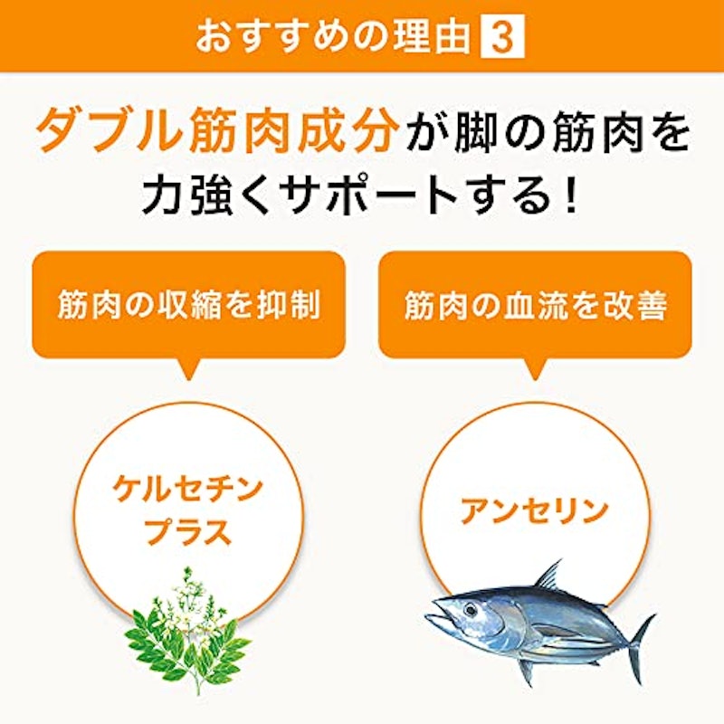 ロコモア 6