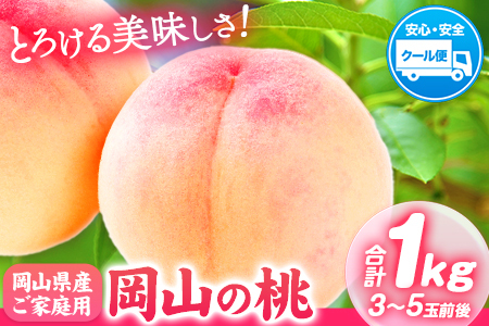 岡山の桃 1
