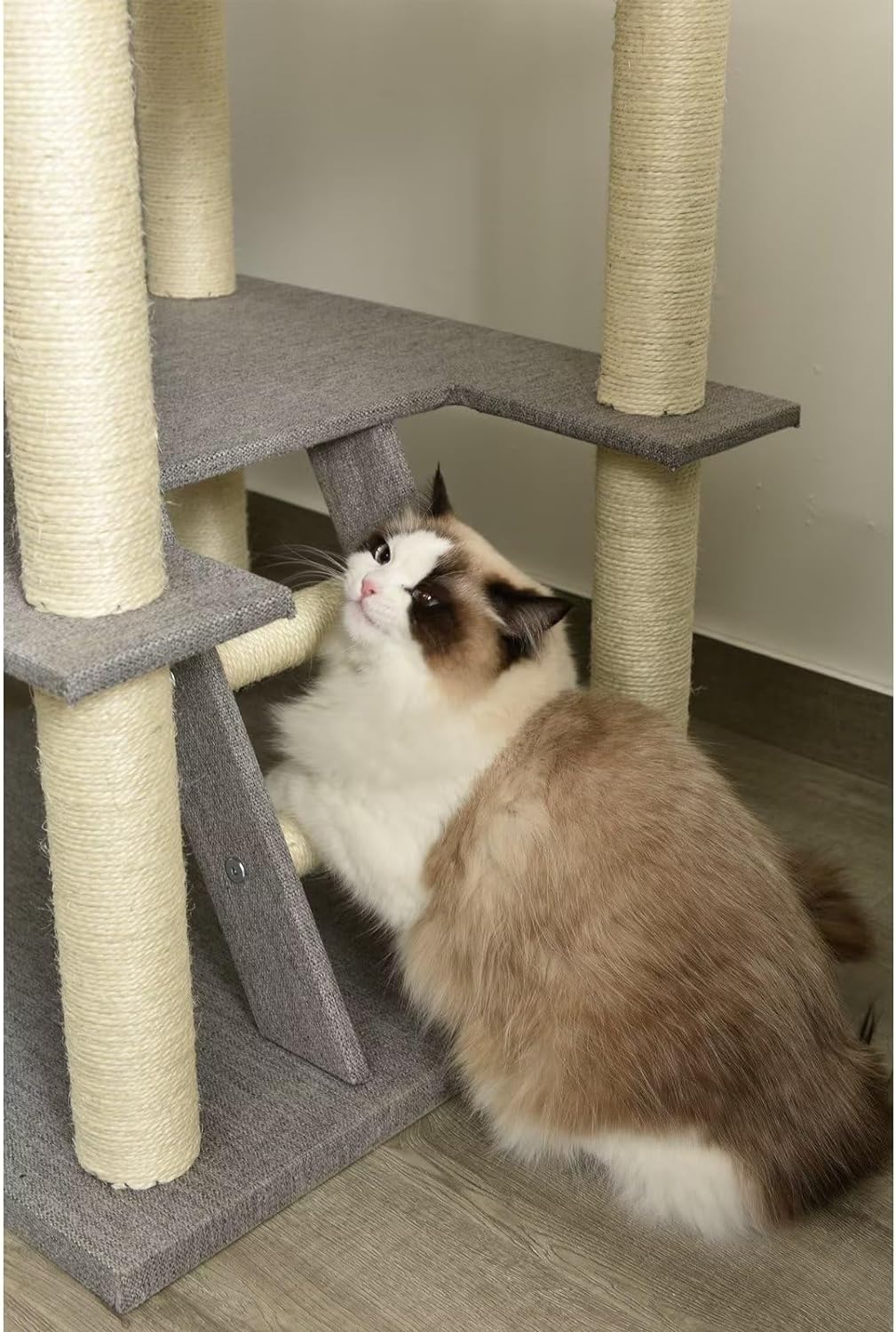 キャットタワー 4
