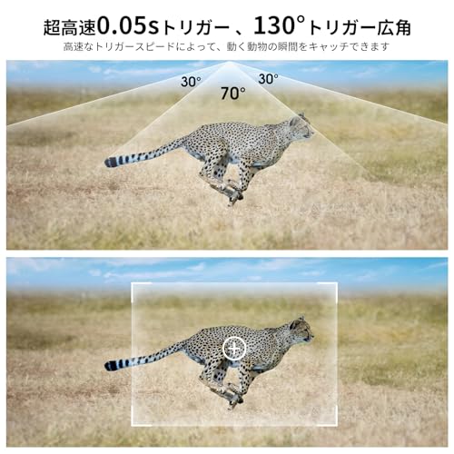 トレイルカメラ 5