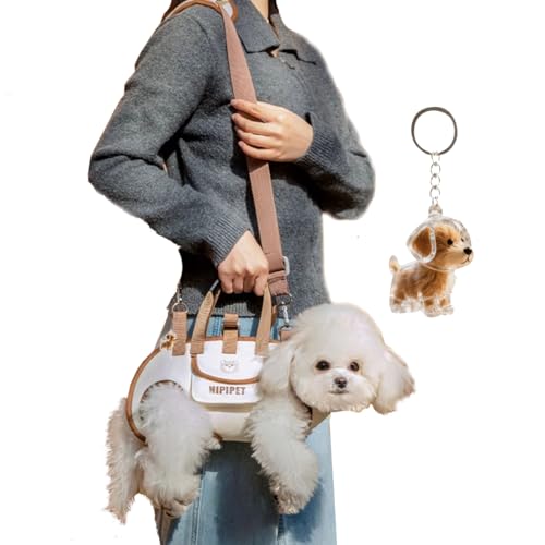 犬用ハーネス&リードセット 1