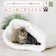 サカイ ねこのおふとん 1