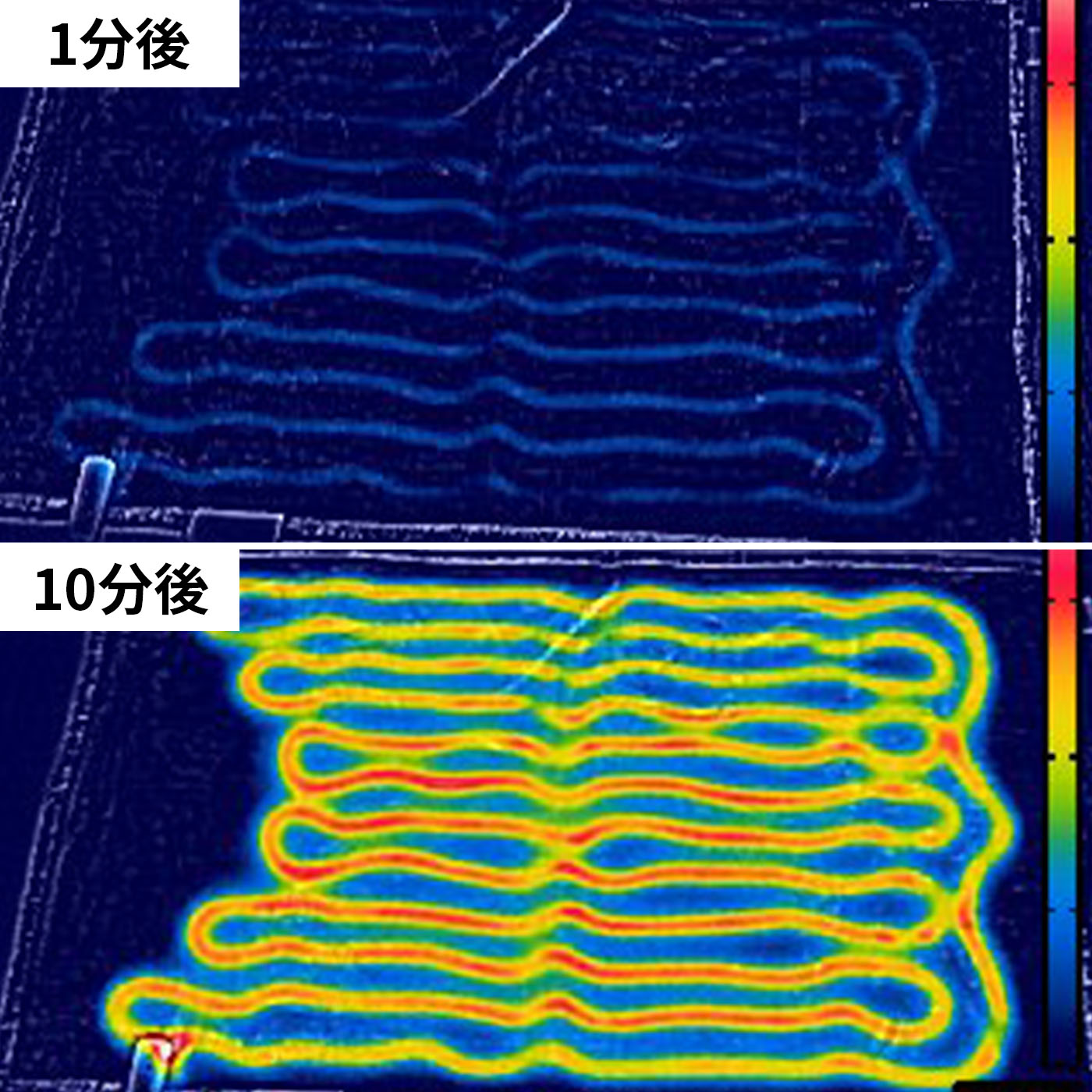 パナソニック 電気しき毛布 DB-UM10S-Tの口コミ・評判は？実際に使って