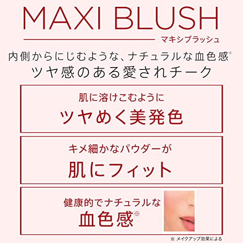 マキシブラッシュ 3