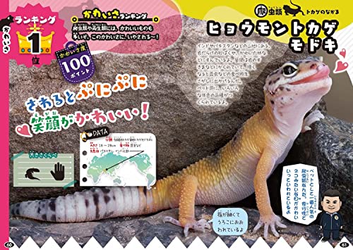 白輪園長の爬虫類・両生類ランキング大図鑑  4