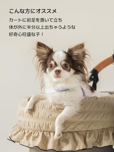 コンフォーター NEWマーガレット 3