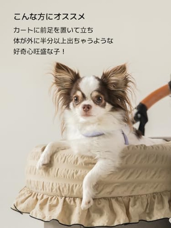 コンフォーター NEWマーガレット 3