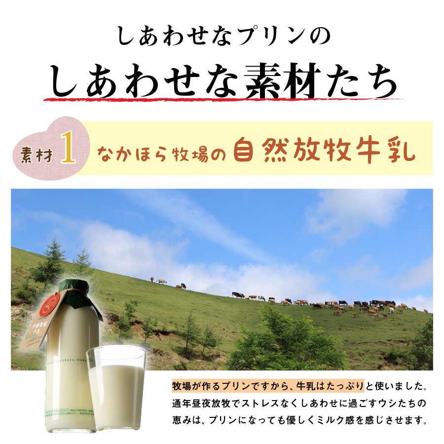 なかほら牧場ぷりん 3