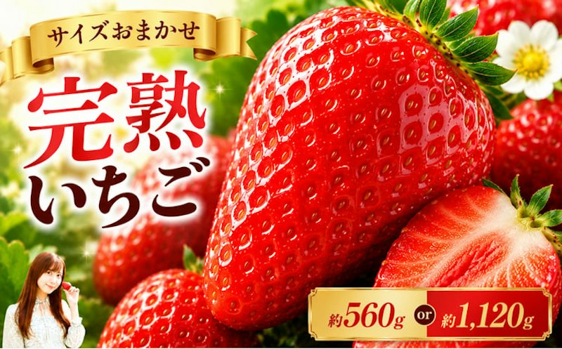 とちあいか 1