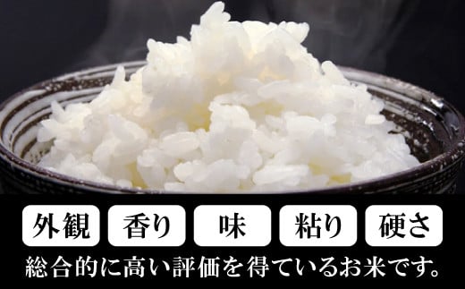 出雲國仁多米 定期便 4