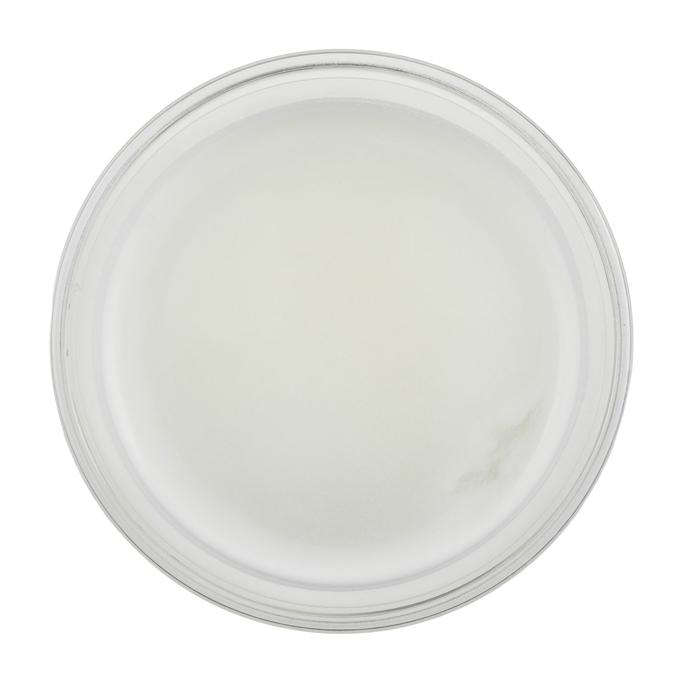 WPI WHEY PROTEIN  ALOE YOGURT 3