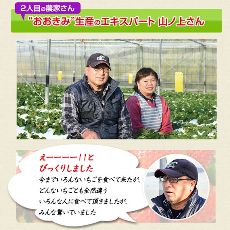 宮崎産高級いちご「おおきみ」超特大9粒 10