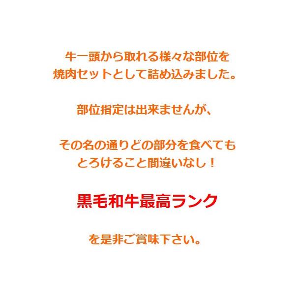 極み とろける焼肉セット 2
