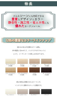 ファンティア サイドカバー 2