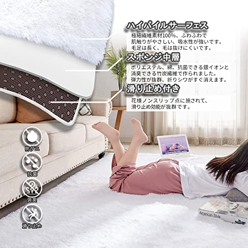 ふわふわ 洗えるラグマット 3