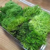 苔5種詰め合わせパック 1