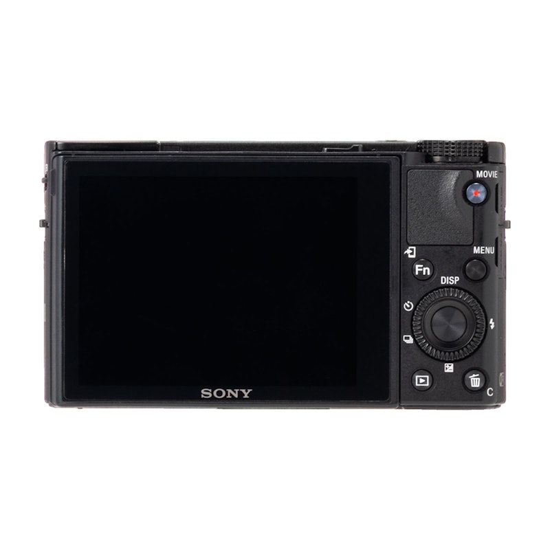 SONY デジタルスチルカメラ RX100V DSC-RX100M5を徹底レビュー!実際に SONY デジタルスチルカメラ RX100V DSC-RX100M5を徹底レビュー!実際に